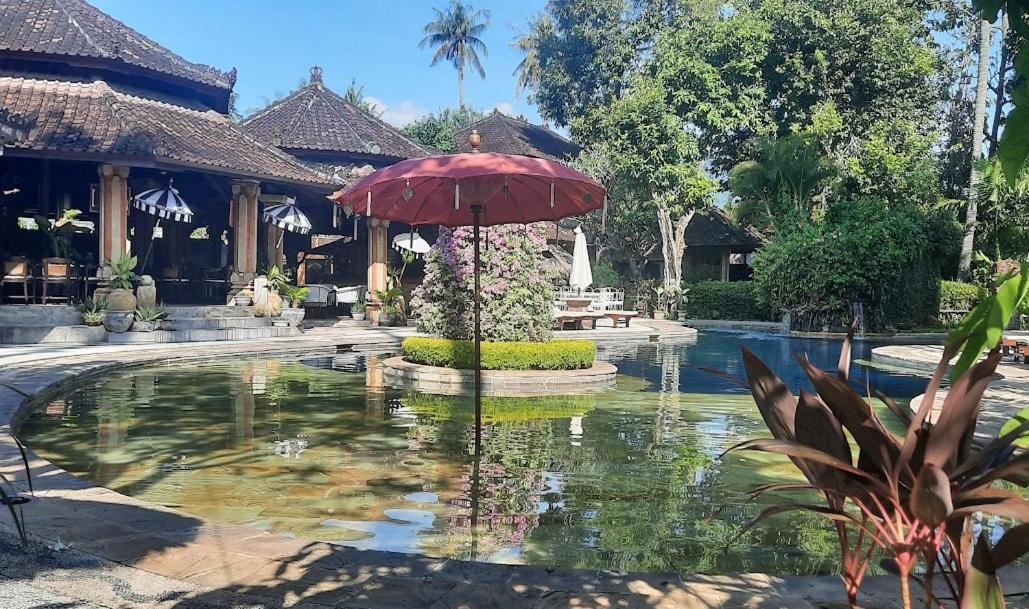 Rambutan Hotel Ловина Экстерьер фото