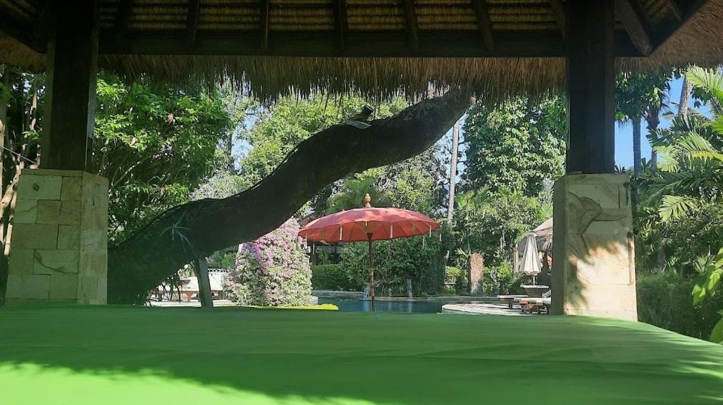 Rambutan Hotel Ловина Экстерьер фото
