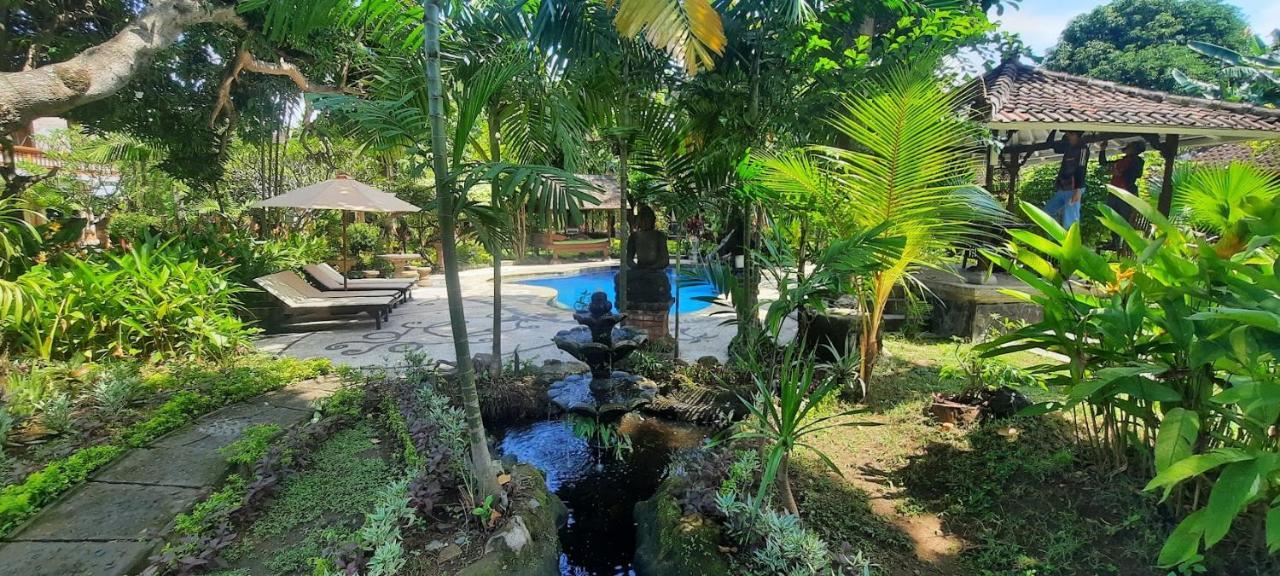 Rambutan Hotel Ловина Экстерьер фото
