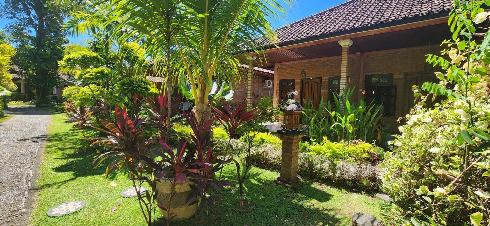 Rambutan Hotel Ловина Экстерьер фото